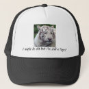 Recherche de grands chats casquettes Sauvage