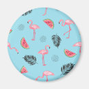 Recherche de oiseau exotique magnets Mignon