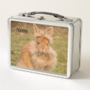 Recherche de lapin angora Animal