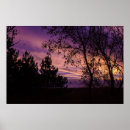 Zoek naar boom silhouet posters Natuur