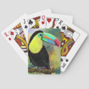 Zoek naar tropische vogel speelkaarten Toucan