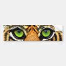 Recherche de tigre voiture autocollants Sauvage