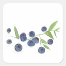 Recherche de de cuisine de baies autocollants Fruit