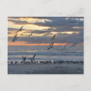 Recherche de débarquement cartes postales Plage