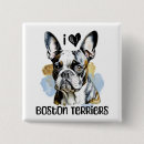 Recherche de boston terrier buttons Chien