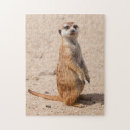 Recherche de meerkat puzzles Enfants