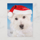 Zoek naar kerstkaart westie kaarten Kersthoed