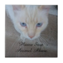 Recherche de et mon chat carreaux Chats