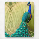 Recherche de plumes colorées tapis souris Vert