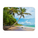 Zoek naar sri lanka magneten Beach