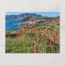 Recherche de madère cartes postales Paysage
