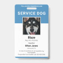 Recherche de services de chien Moderne