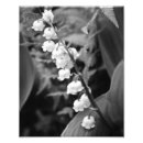 Recherche de muguet Le muguet