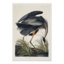 Recherche de audubon posters Antique