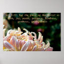 Zoek naar gele chrysanten posters Floreel