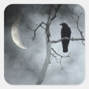 Zoek naar kraaien stickers Vogel