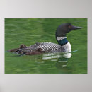 Recherche de british columbia posters Lake