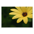 Recherche de copie jaune de fleur Pour elle