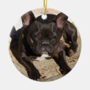 Zoek naar french bulldog ornamenten Grappig