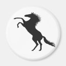 Recherche de élevage magnets Équin