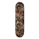Recherche de vintage comp skateboards Plage