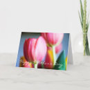 Recherche de couleurs de ressort vœux cartes Photographie