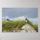 Zoek naar kraaien kunst Blauw