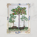 Recherche de testard cartes postales 15e