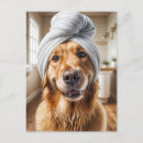 Recherche de spas cartes postales Client(e)