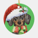 Zoek naar dackel ornamenten Kerstmis