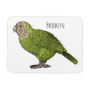 Recherche de animé de dessin magnets Oiseau