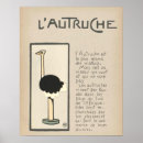 Recherche de ostriches posters Animaux
