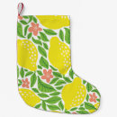 Recherche de citron chaussette de noël Fruit