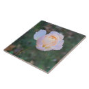 Recherche de jaune pastel carreaux Rose
