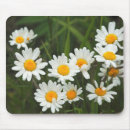Zoek naar margrieten muismatten Flora