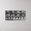 Recherche de courant impressions sur toile Photographie