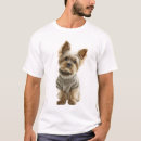 Recherche de yorkshire terrier tshirts Chien mignon