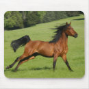 Recherche de chevaux galopants tapis souris Cheval