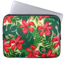 Recherche de feuille rouge coques Hibiscus