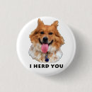 Recherche de berger australien badges Rassemblement du chien