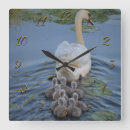 Zoek naar swans kunst Natuur