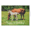 Recherche de foal Chevaux