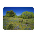 Recherche de grand format magnets Tranquille