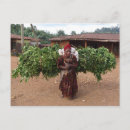 Recherche de éthiopien cartes postales Afrique