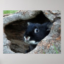 Zoek naar konijnen posters Bunny