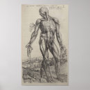 Recherche de andreas vesalius posters De humani corporis fabrica