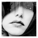 Recherche de étalon noir art Noir et blanc