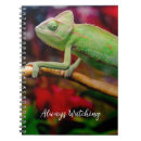 Recherche de caméléon carnets Lézard