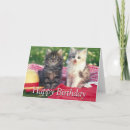 Recherche de deux chats vœux cartes Chaton