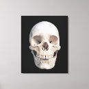 Recherche de crâne humain art Mâchoire